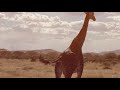 Ensaime - Tanzania (Original Mix) 