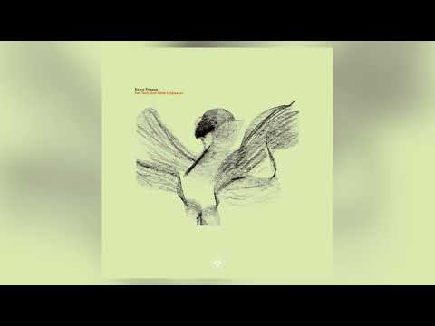 Ronny Pinazza - Fröhliche Frösche (Polygonia Remix) [CELLAR DOOR RECORDS]