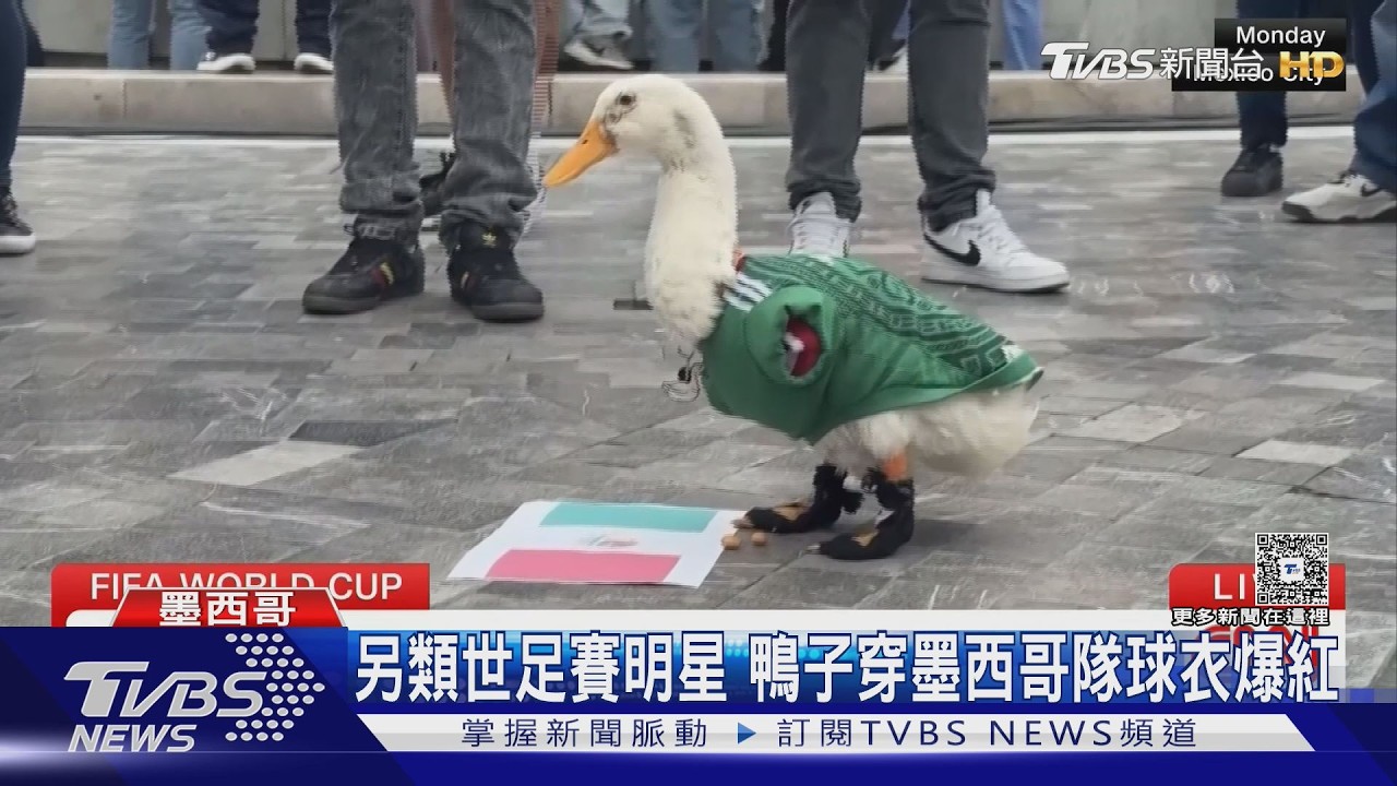 影音/世足鴨穿球衣爆紅!挪威球迷、利比亞理髮師用「這方式」應援