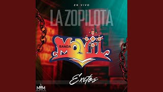 La Zopilota