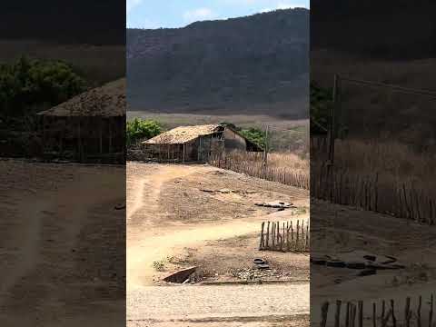 Mato verde Serrinha moraujo Ceará