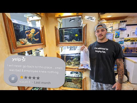 Buying FISH from the LOWEST RATED Fish Store...