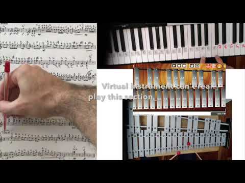 Higher Tuned Percussion Pizzicato Polka