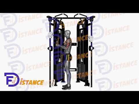 Exercice Tirage triceps à la poulie haute avec barre en V