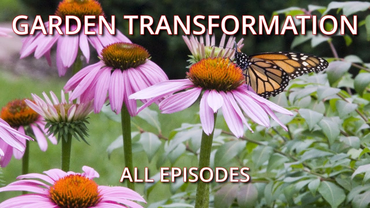 25-Year Garden Transformation: From Weeds to English Cottage Paradise