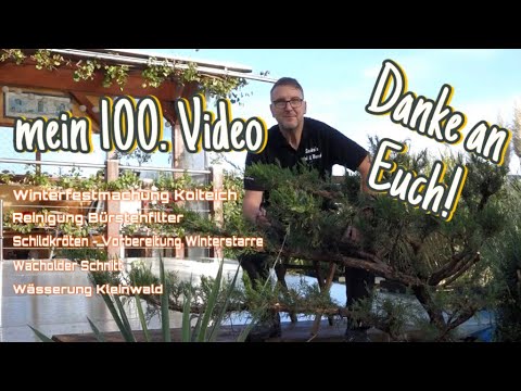 Special Koi & Bonsai mit Teichabdeckung, Bürstenfilter, Schildkröten und einem dicken DANKE😊 2023/39