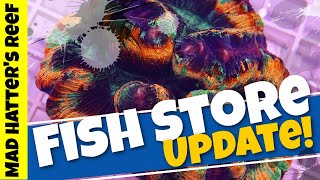 Fish Store Update| One Take Sunday