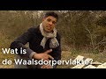 Wat is de Waalsdorpervlakte? | Het Klokhuis