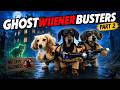 Ep 64 GHOSTWIENERBUSTERS Part 2 How To Catch A Ghost Cat