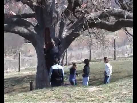 Romhány bemutatása - Rákóczi hadnagyai - Kapcsolatkulcs