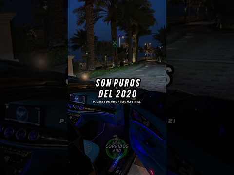 Cachas NazI - Panchito Arredondo 🍕#shorts #feedfeed #corridos #panchitoarredondo #delrecords #viral