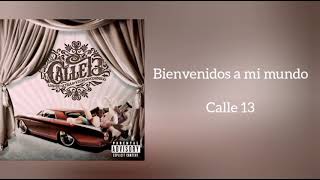 &quot;Bienvenidos a mi mundo&quot; Calle 13