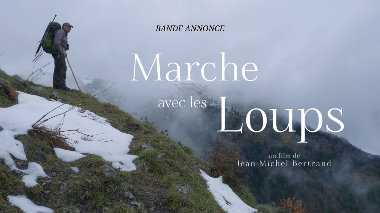 Miniature de la vidéo MARCHE AVEC LES LOUPS - Bande Annonce [VF] du film Marche avec les loups