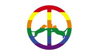 Hype Williams - The Whole Lay