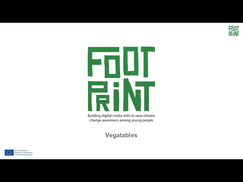 4. Vegetables - FootPrint Project