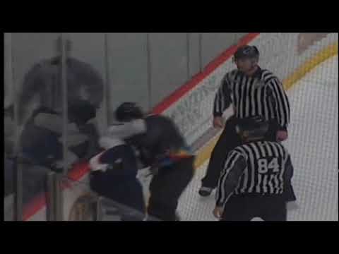 ECHL fight - Ben Wilson vs Alderson 03/15/15
