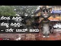 No job, no wife - Talking Tom Funny song No job, no wife - Talking Tom Funny song