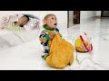 The Best Monkey Video Meaningful That Everyone Should Watch Once
