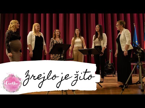 Vokalna skupina Cvetke – Zrejlo je žito