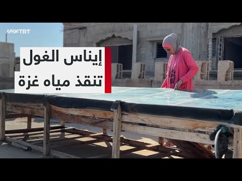 إيناس الغول