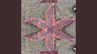 Sponge (original)