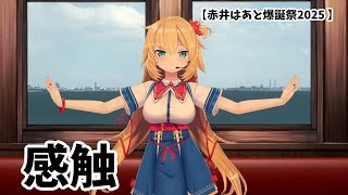 【赤井はあと/はあちゃま】感触　　　【ホロライブ/3DLIVE/赤井はあと爆誕祭2025 】
