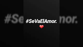 Se va el amor letra (Demarco Flamenco, Borja Rubio ft. Maki)