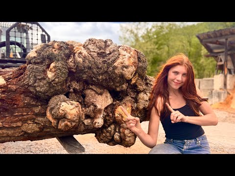 What causes a tree to grow a Burl?