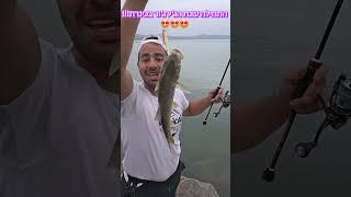 התחילה עונת הז'ירז'ור בכינרת 🤩🤩🤩 #fishing #דייג
