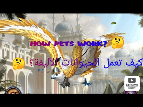 days of empire how pets work?أيام الإمبراطورية كيف تعمل الحيوانات الأليفة؟
