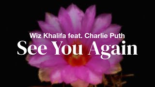 Download lagu Wiz Khalifa feat. Charlie Puth - See You Again | Lyrics mp3 Download lagu Wiz Khalifa feat. Charlie Puth - See You Again | Lyrics mp3