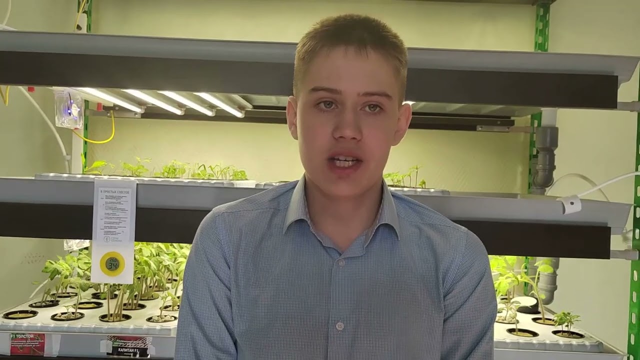 Постер видео