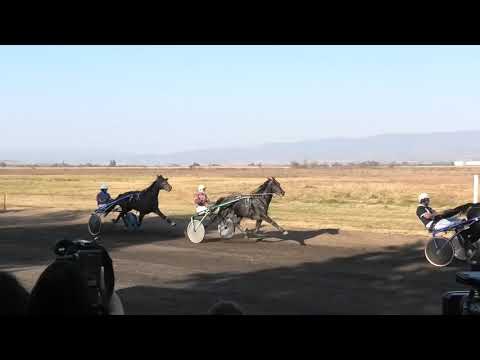 Trka "Oslobodjenje grada Leskovca" 11.10.2018 Isac Newton A.T.-Dejan Petrović