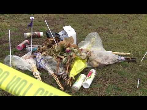 Transit Fatality & Crash