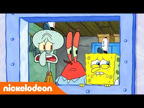 Bob l'éponge | Un Oursin dans la cuisine | Nickelodeon France