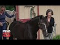 Author Geraldine Brooks Delves Into An Untold Story Of A Racehorse And His Caretaker