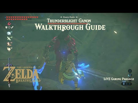 Breath of the Wild | EX Champion Urbosa's Song [DLC 2] Illusory Realm [Thunderblight Ganon]