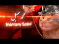 Muhammad Sumbul