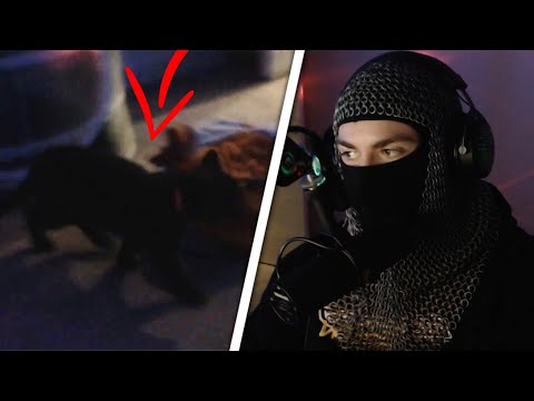 SwaggerSouls Shows His Cat on the Misfits Podcast