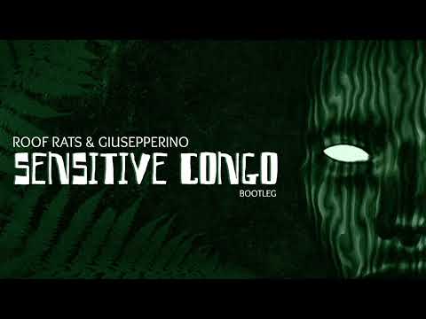 Roof Rats & Giusepperino - Sensitive Congo