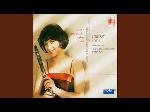 Introduction, Theme and Variations for Clarinet and Orchestra: Variation 3