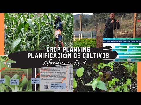 , title : 'Soul Fire Farm Liberation on Land Video Series – Crop Planning // Planificación de cultivos'
