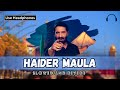 Haider Maula | Slowed and Reverb | Nadeem Sarwar #haidermola #slowed #slowedandreverb