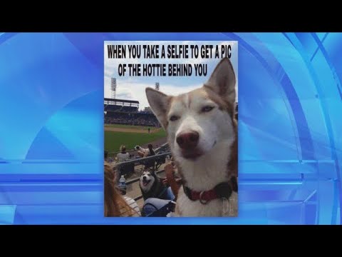 【エレンの部屋】クスッと笑ってしまうおもしろ画像紹介（Me Me Monday: Another Day, Another Meme）