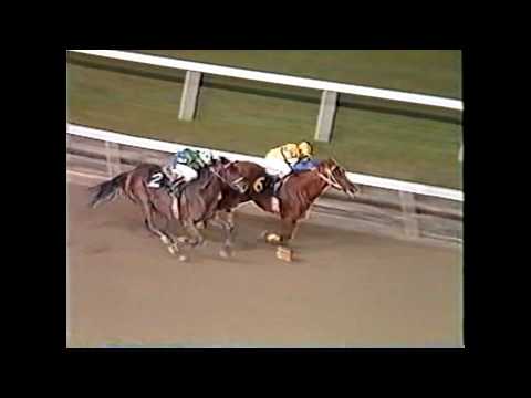 VERSET'S DANCER - Gana En Meadowlands - 6 Octubre 1984