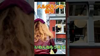メルボルンの信号　　　　#メルボルン #オーストラリア生活 #海外