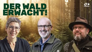 Video-Thumbnail von YouTube