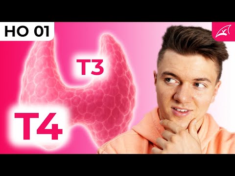 Schilddrüsenhormonsynthese - einfach erklärt! // Wie werden T3 und T4 gebildet?