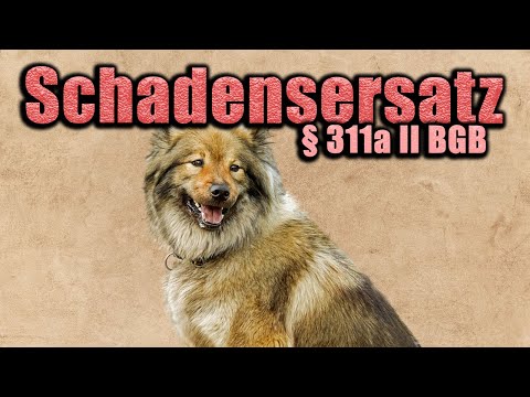 Schadensersatz, § 311a II BGB - Schuldrecht AT 41