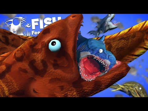 ปลาไหลโซ่ นักล่าแห่งเงามืด ใต้ทะเลไม่มีทางหนี? | Fish Feed and Grow #172